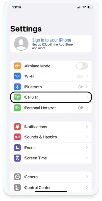 iOS Cellular settings
